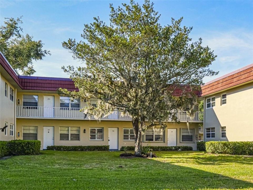 21 pine arbor 104 2