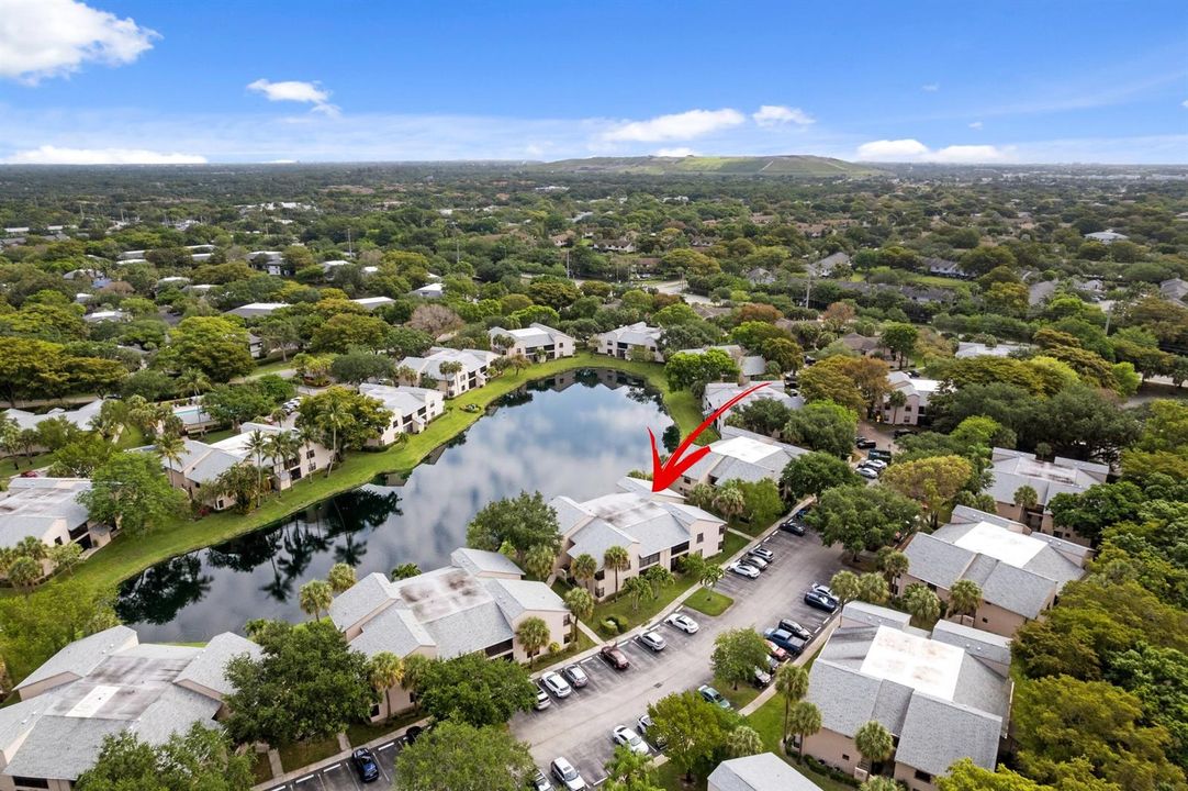 Aerial Neighborhood View
