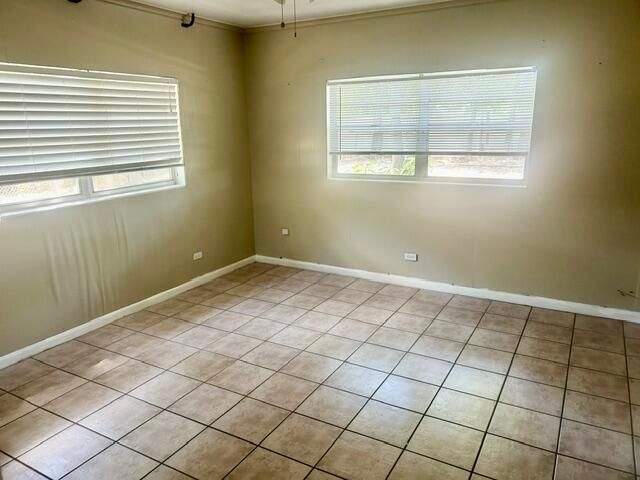 IMG_9984
