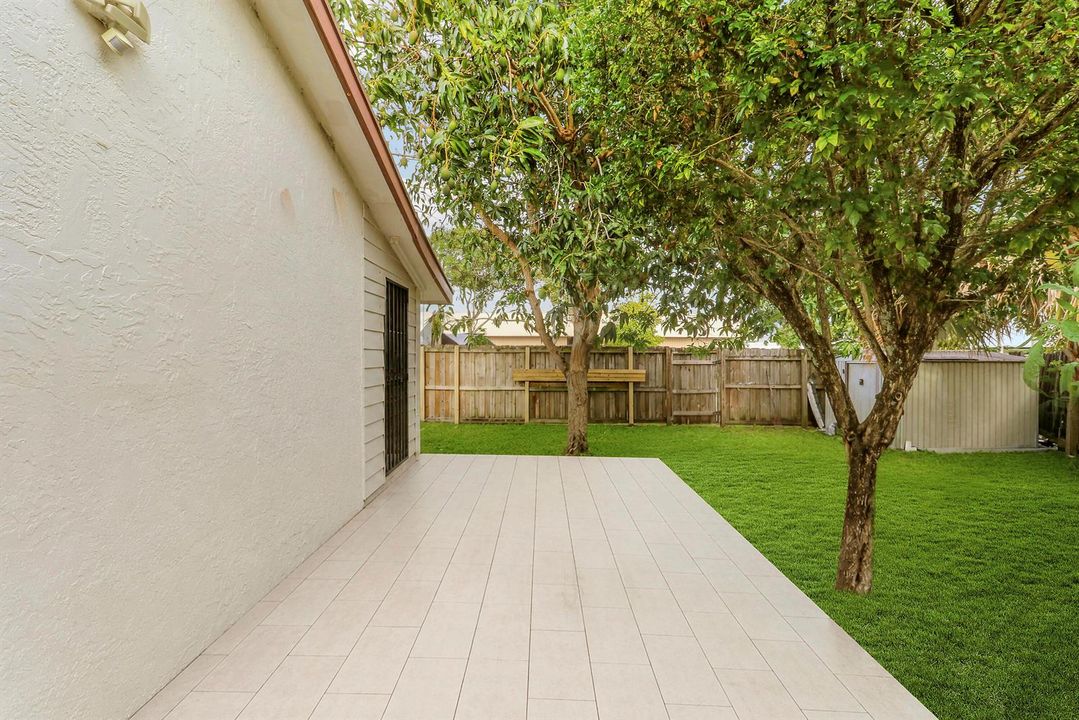 Backyard