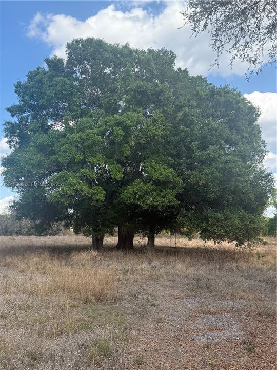 For Sale: $108,000 (2.50 acres)
