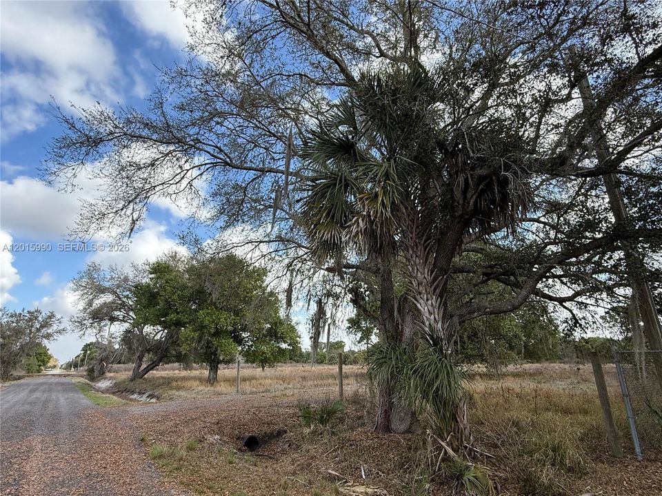 For Sale: $108,000 (2.50 acres)