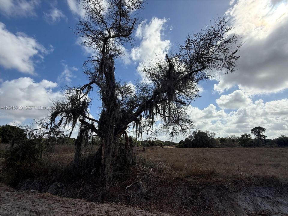 For Sale: $108,000 (2.50 acres)