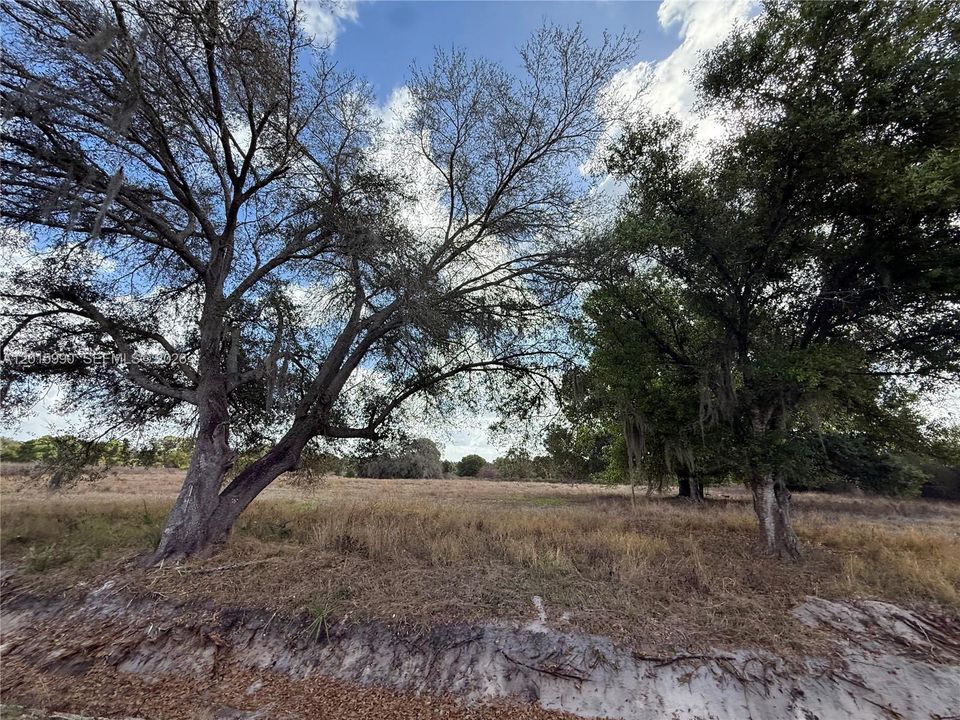 For Sale: $108,000 (2.50 acres)