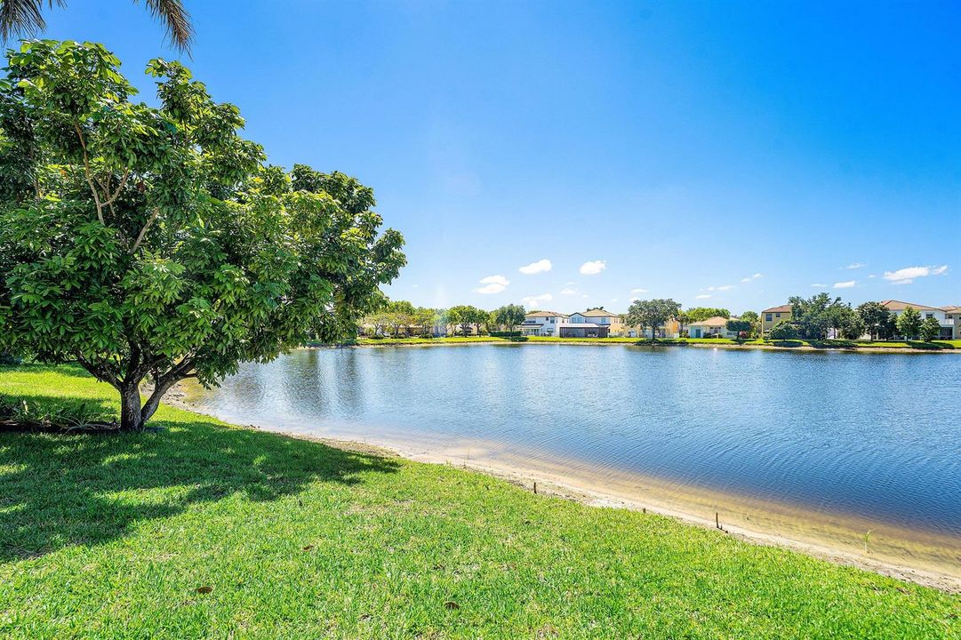 Lake from Backyard