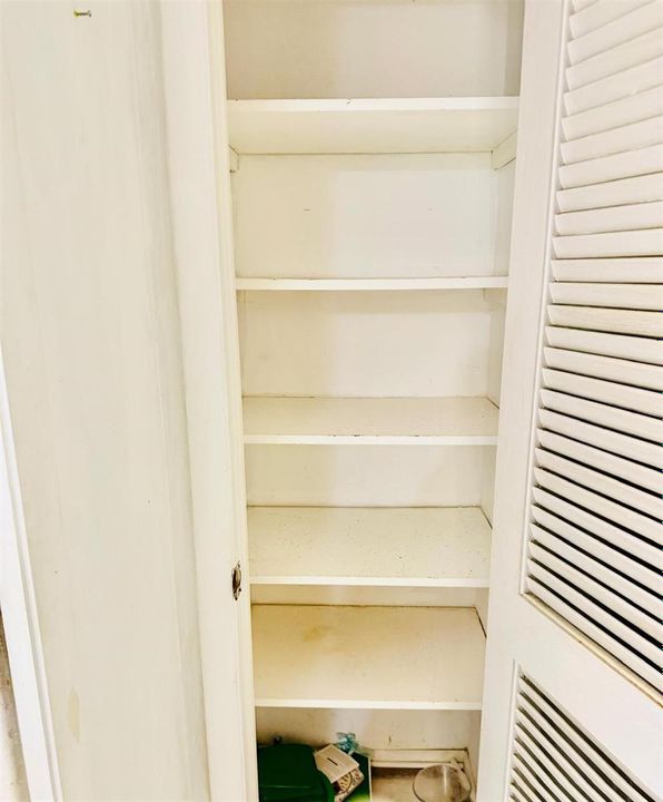 2nd Linen Closet