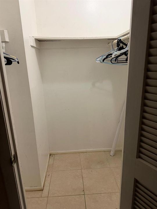 Guest Bedroom Walk-in Closet