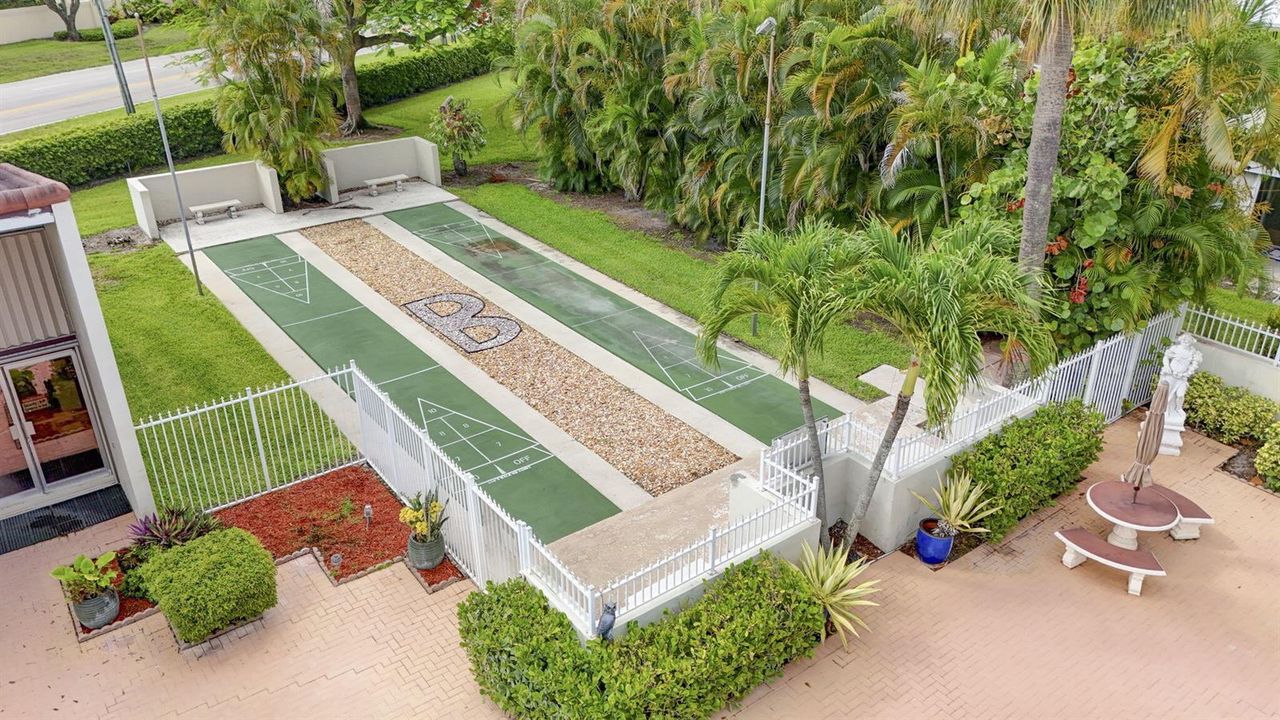 Shuffleboard