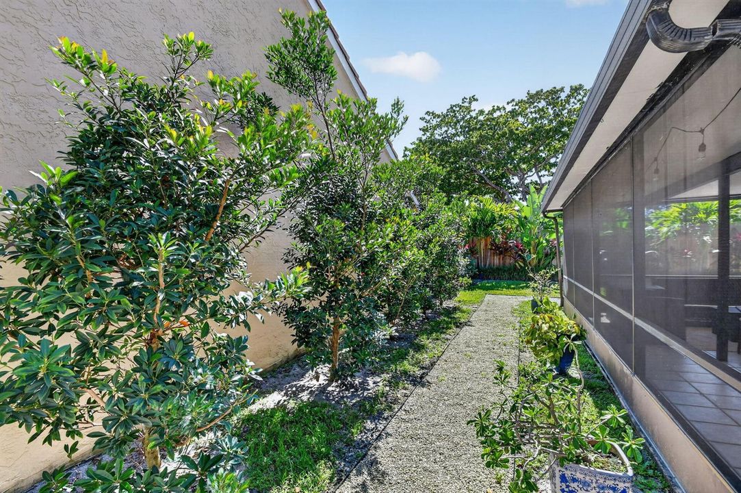 45-web-or-mls-DSC_5857