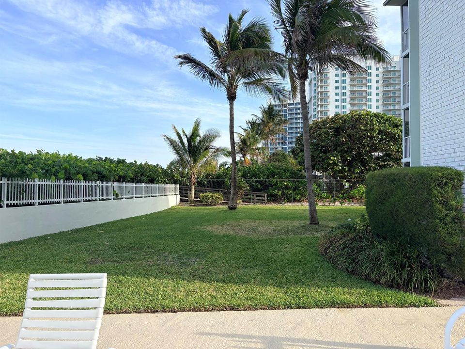 Lush Green Space at the Ocean