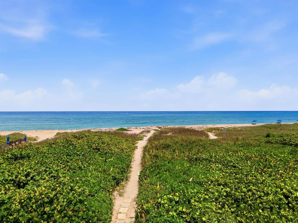 Path to Beach