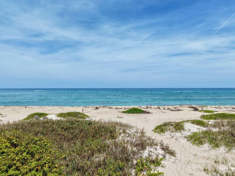 Singer Island Beach