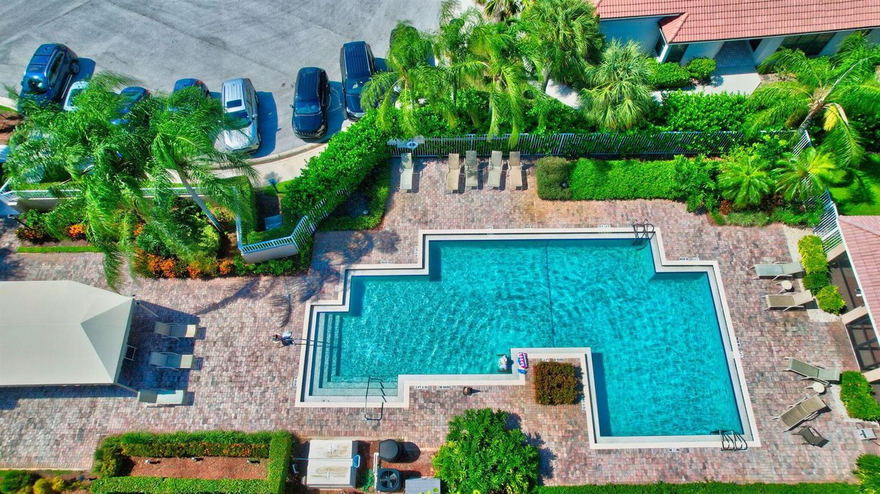 Starlight Cove Pool