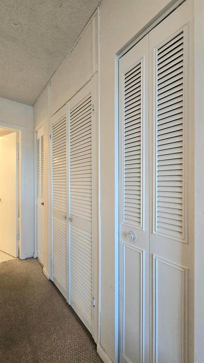 Additional Closets In Bedroom