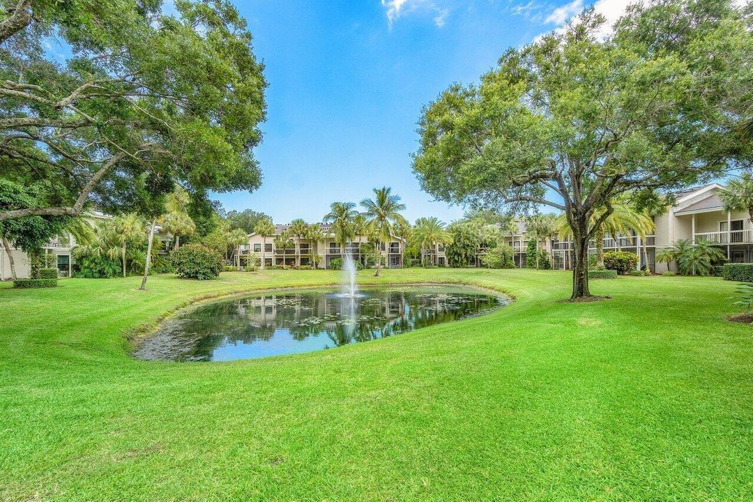 Pond View