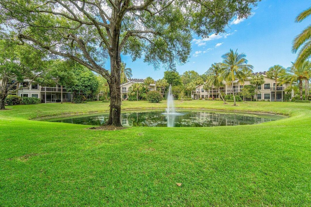 Pond View