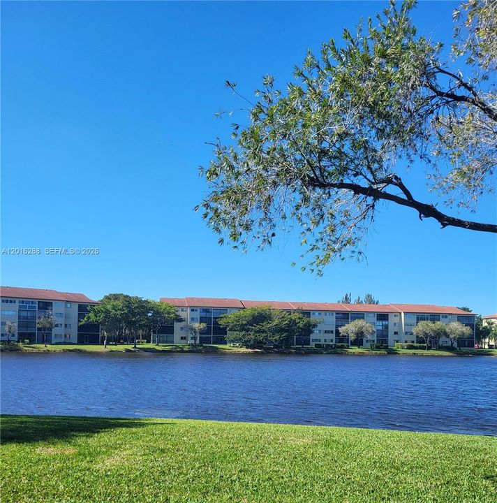 Lake