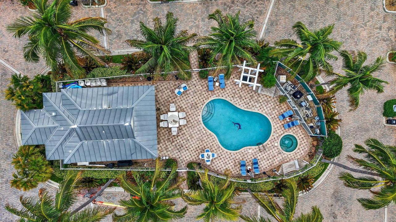 Aeriel View of Pool