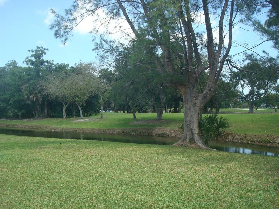 Golf view