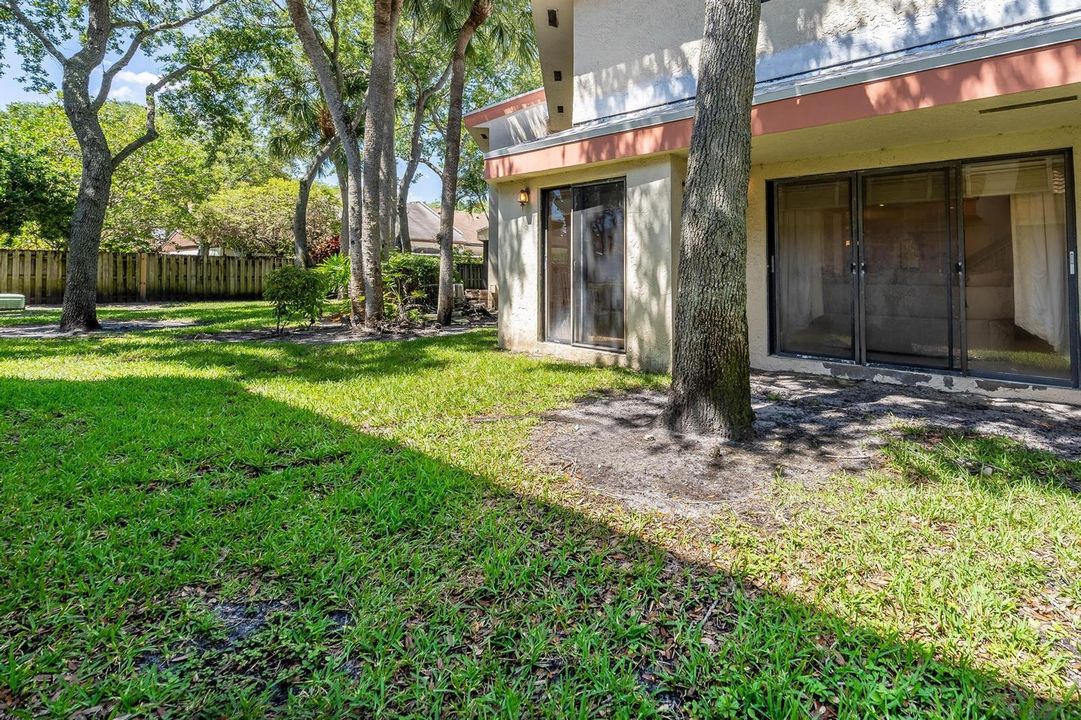 Common Back Yard
