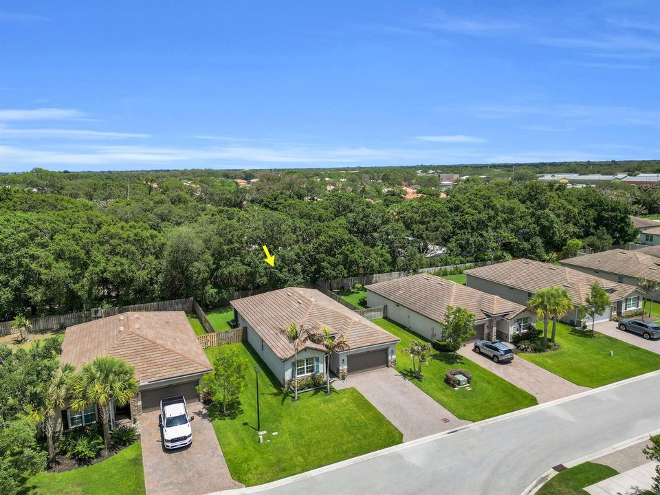 38_46_dji_0558.1