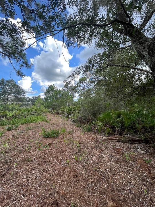 For Sale: $49,000 (10,011.00 acres)