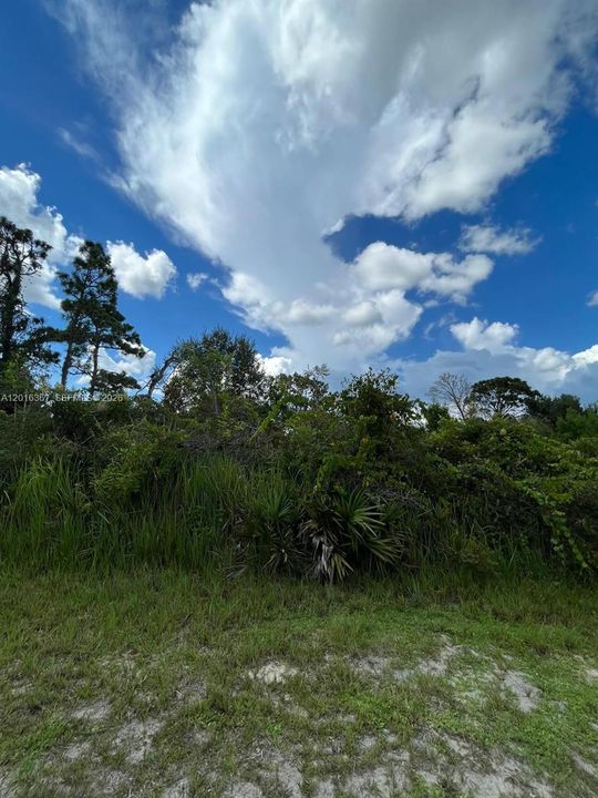 For Sale: $49,000 (10,011.00 acres)
