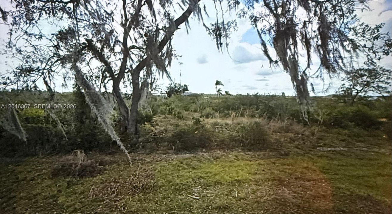 For Sale: $49,000 (10,011.00 acres)