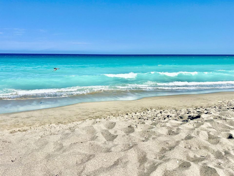 Jupiter Beach