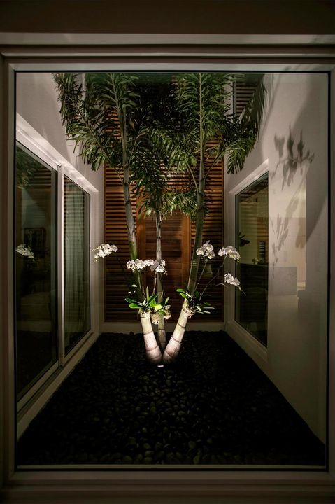 ATRIUM EVENING VIEW FROM DINING