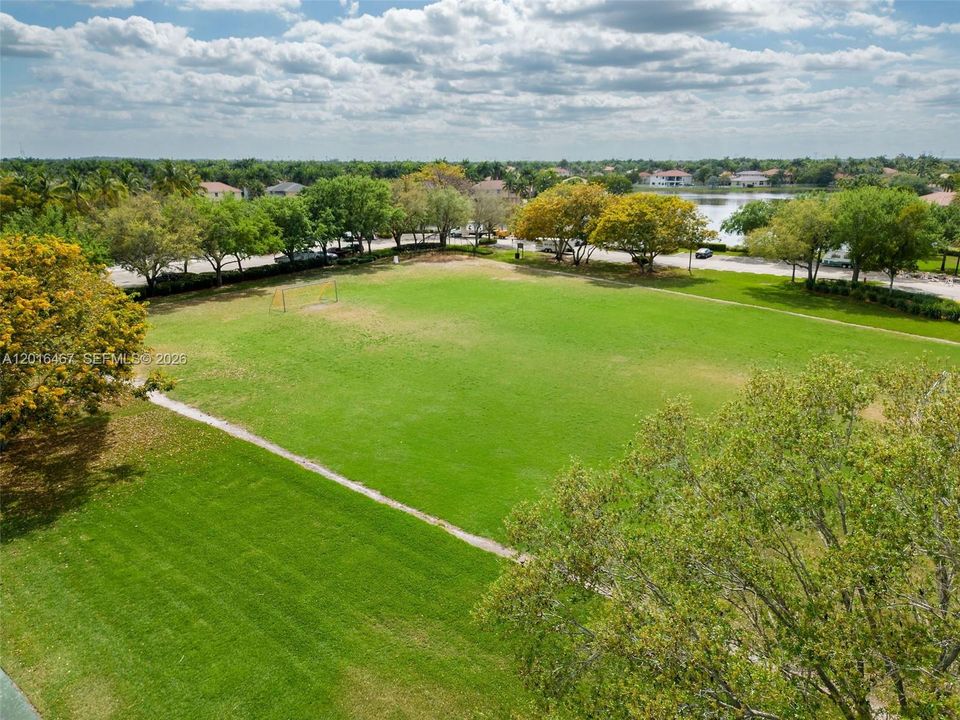 soccer field