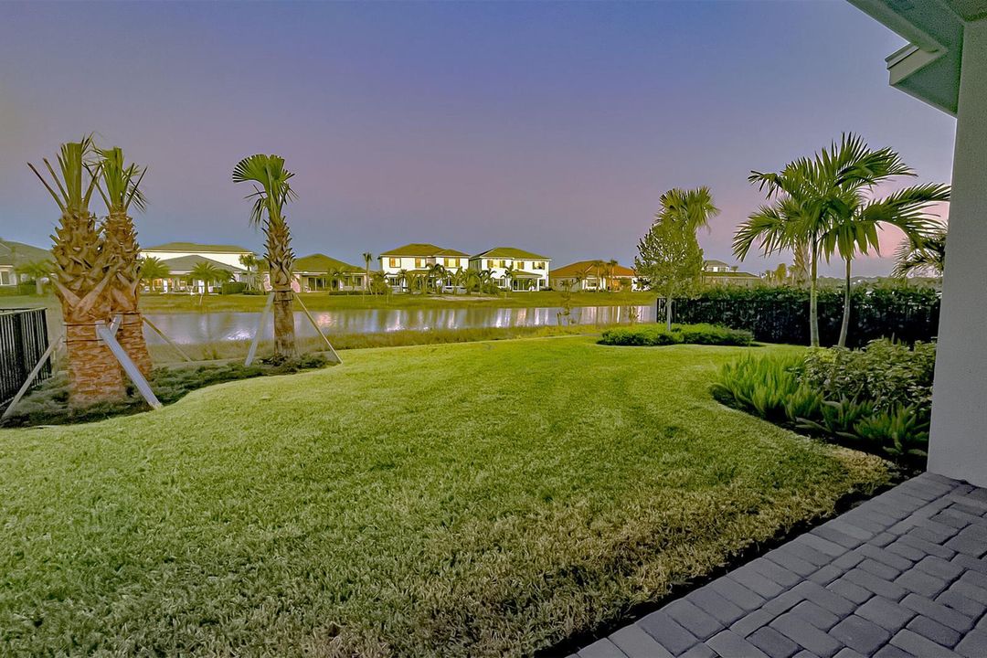 Backyard at Dusk View