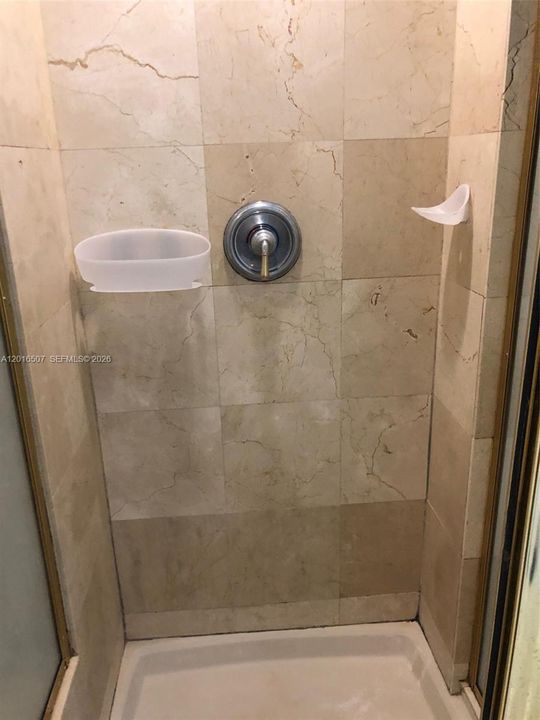 shower in principal bathroom
