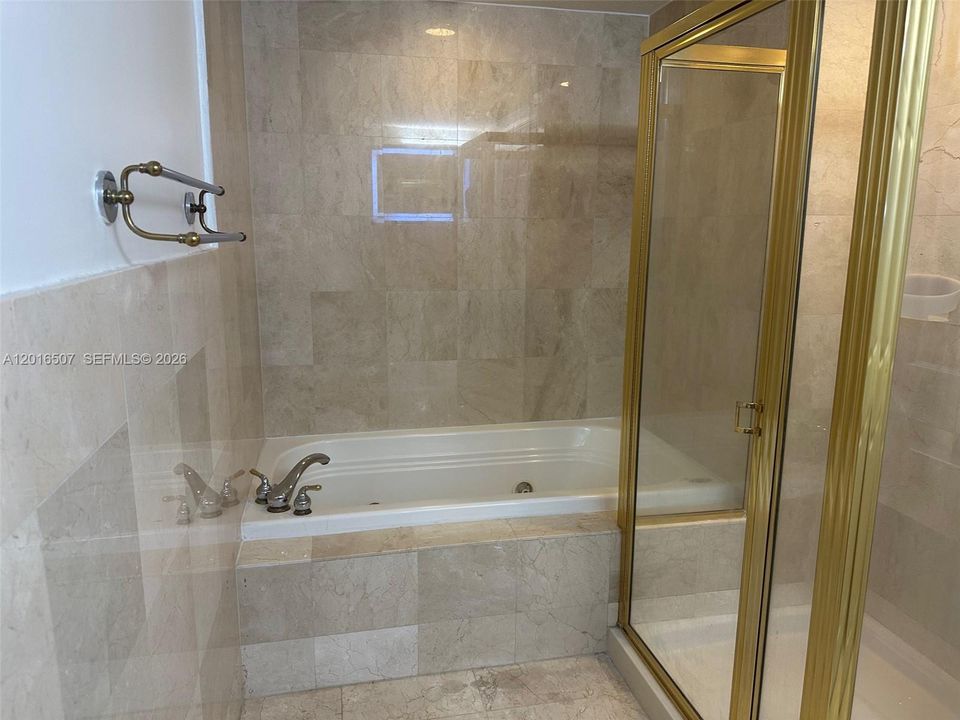jacuzzi and shower + bath tub