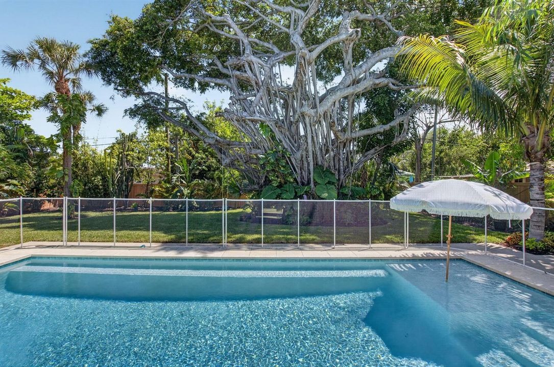 Heated/Chilled Saltwater Pool