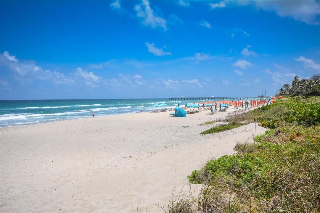 beach