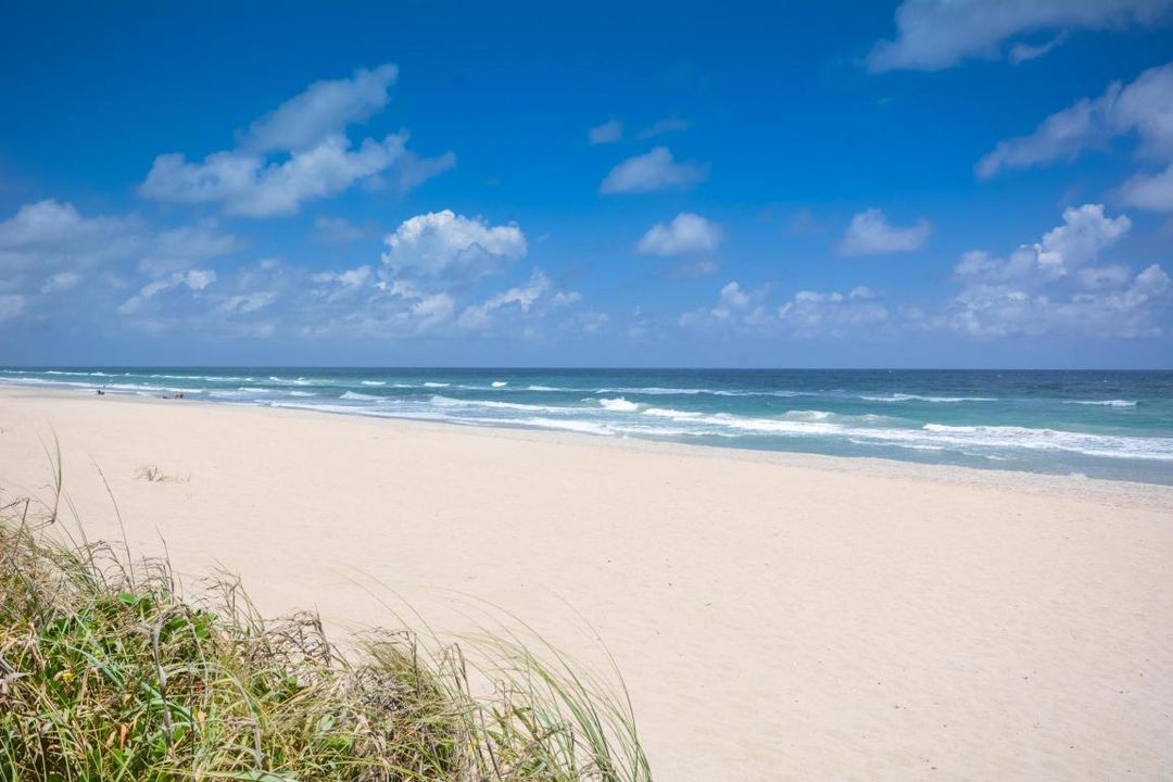 beach