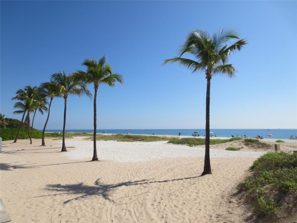 Local Beach