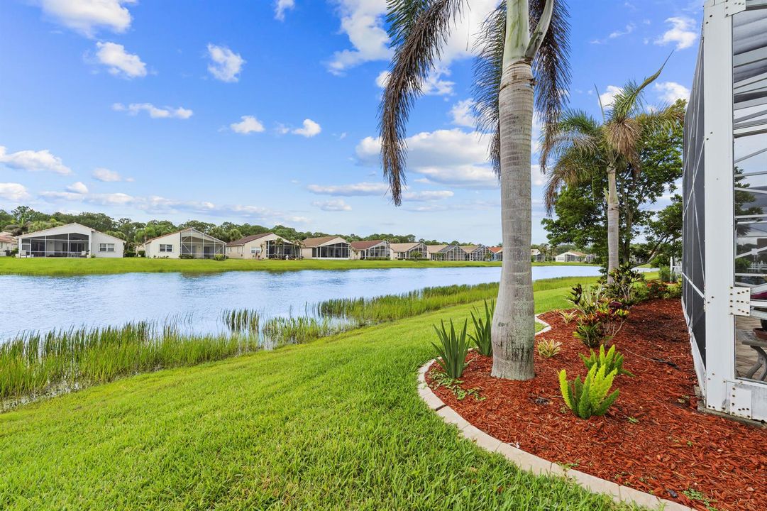 Rear yard & lake