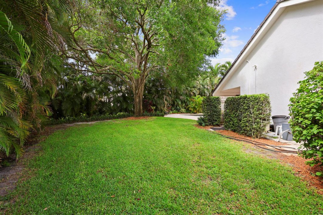 Enormous Fully Fenced Backyard