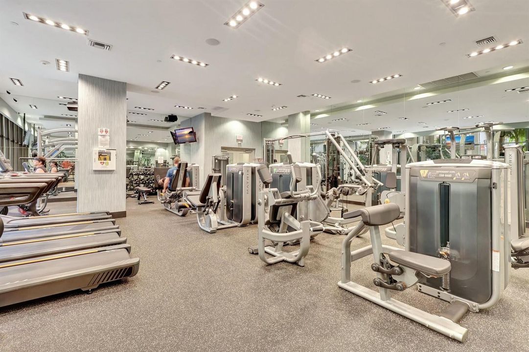 GYM 3