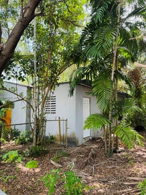 SW corner of house