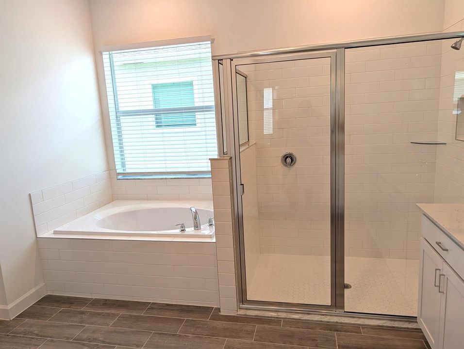 Primary Bath Tub & Shower