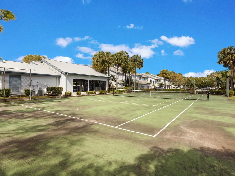 Tennis Pickleball Court