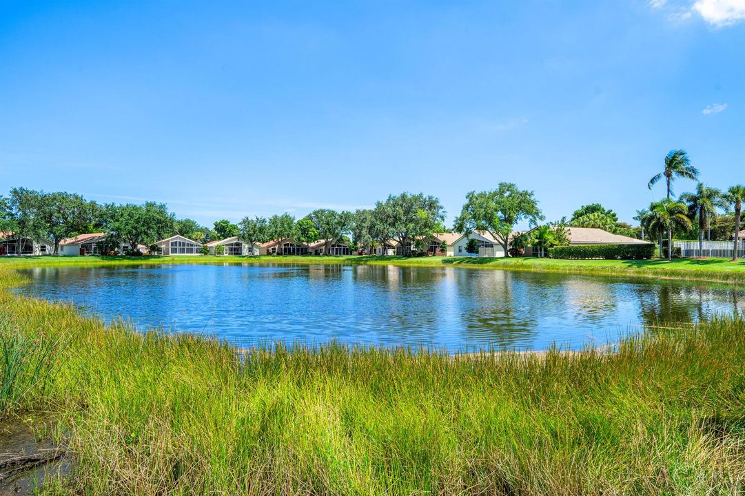 Lake Views