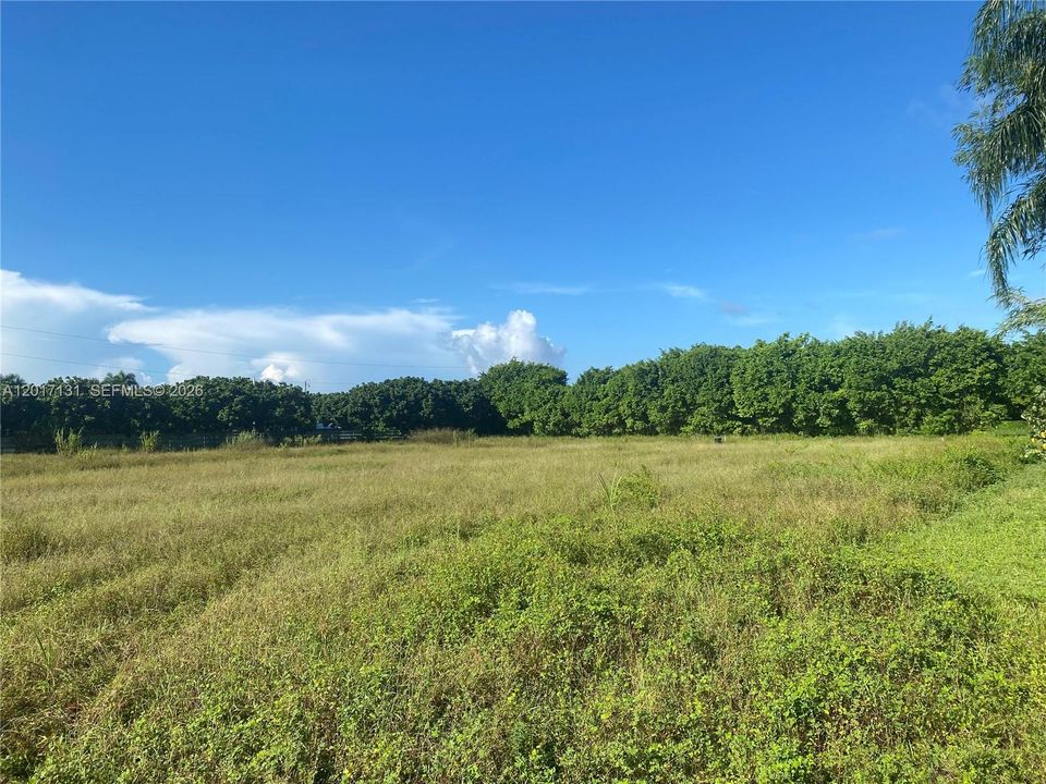 En Venta: $5,500,000 (9.00 acres)