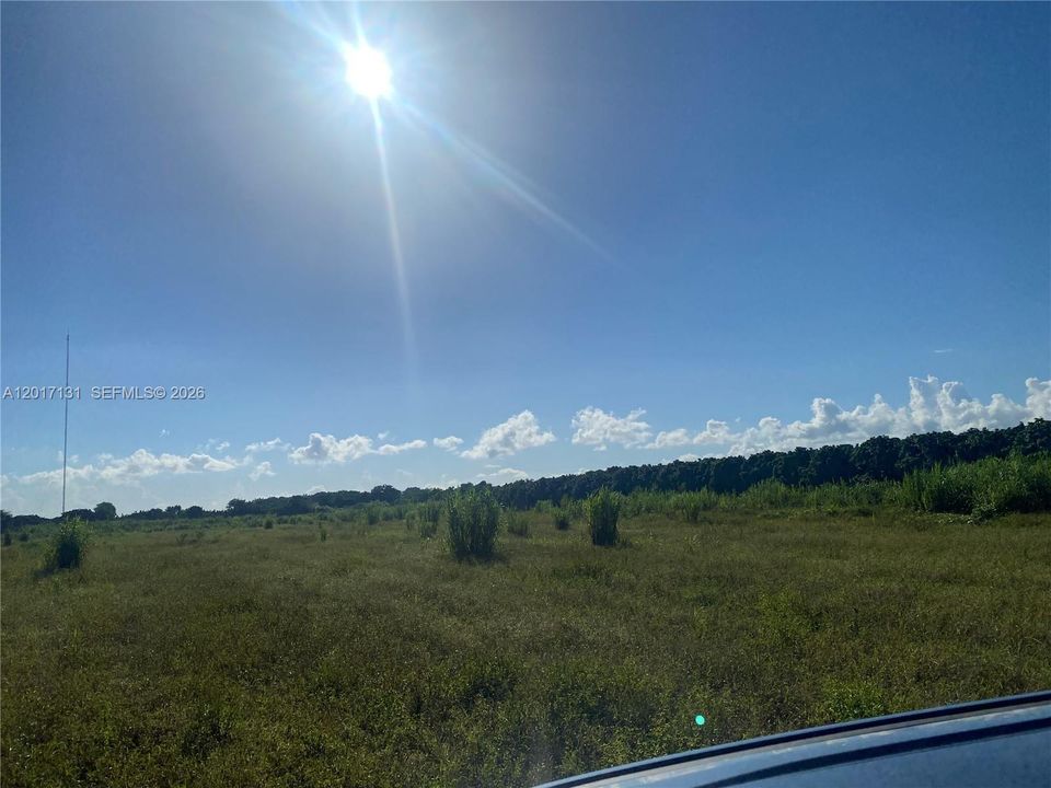 En Venta: $5,500,000 (9.00 acres)