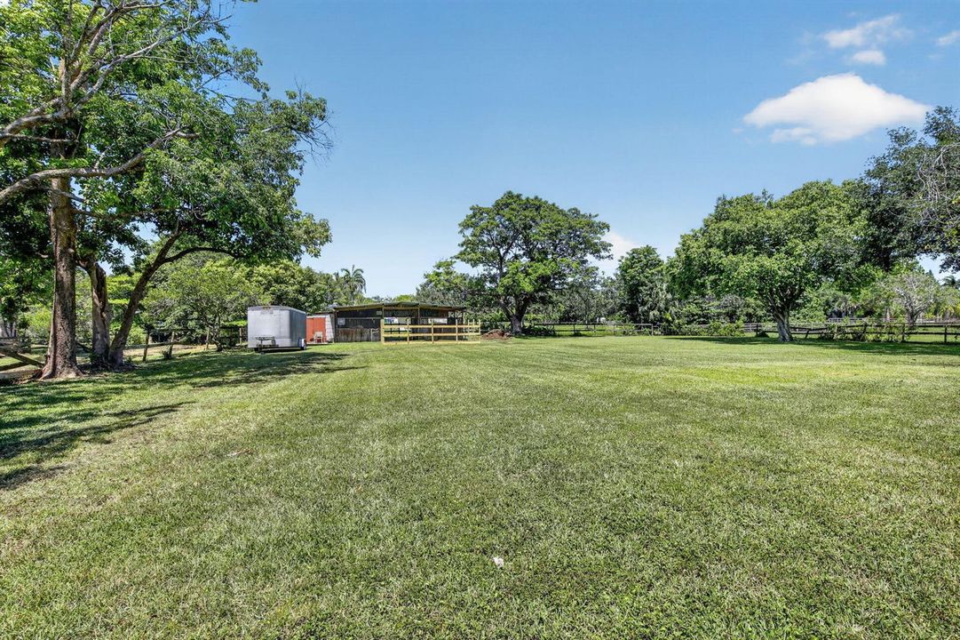 Backyard