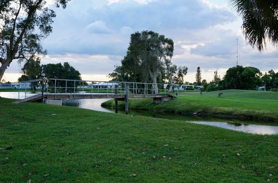 Grounds