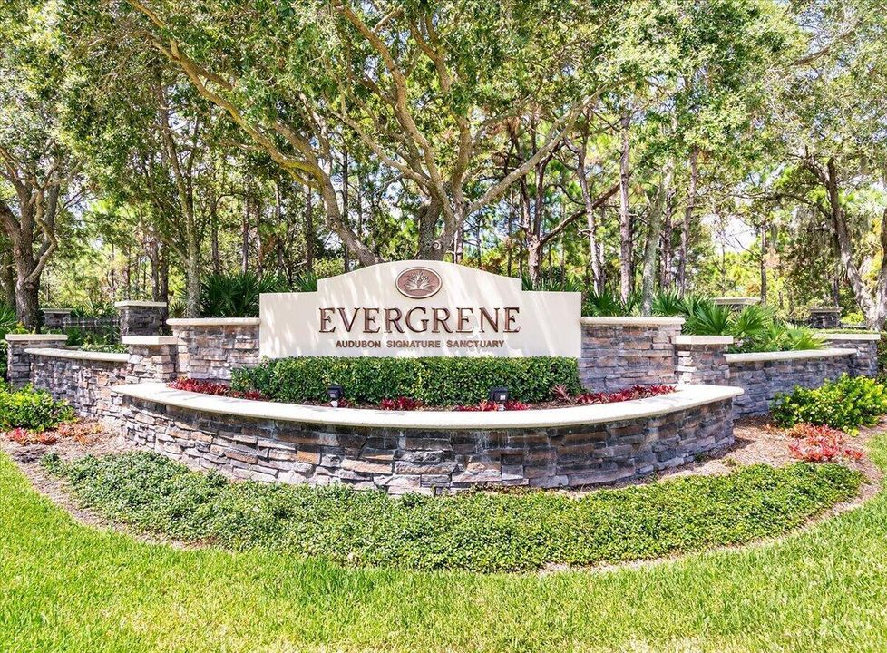 Evergrene Marquis